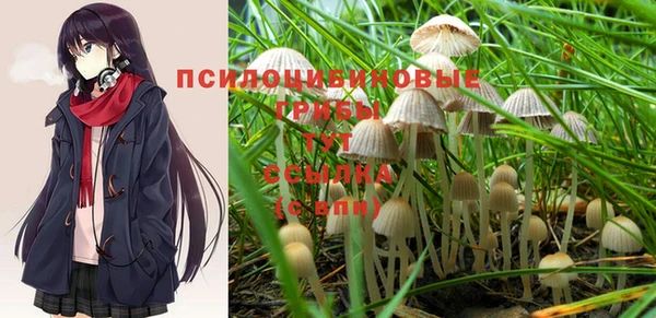 мяу мяу мука Зеленокумск