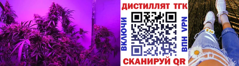 ТГК вейп с тгк  Купить закладки  Ишим 